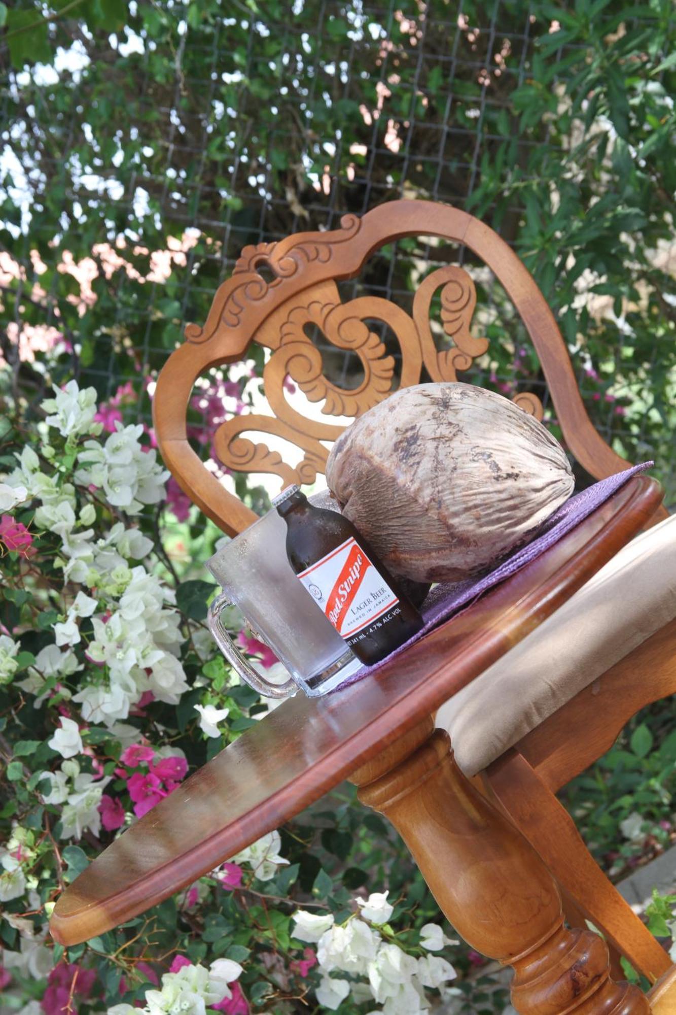 Sweetsop Jamaica Villa And Tours Μοντέγκο Μπέυ Εξωτερικό φωτογραφία